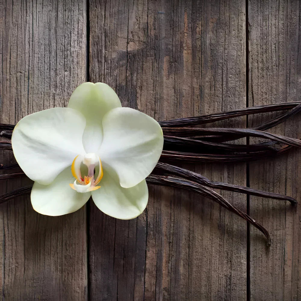 Ramz Gold Edp 100Ml Boxed